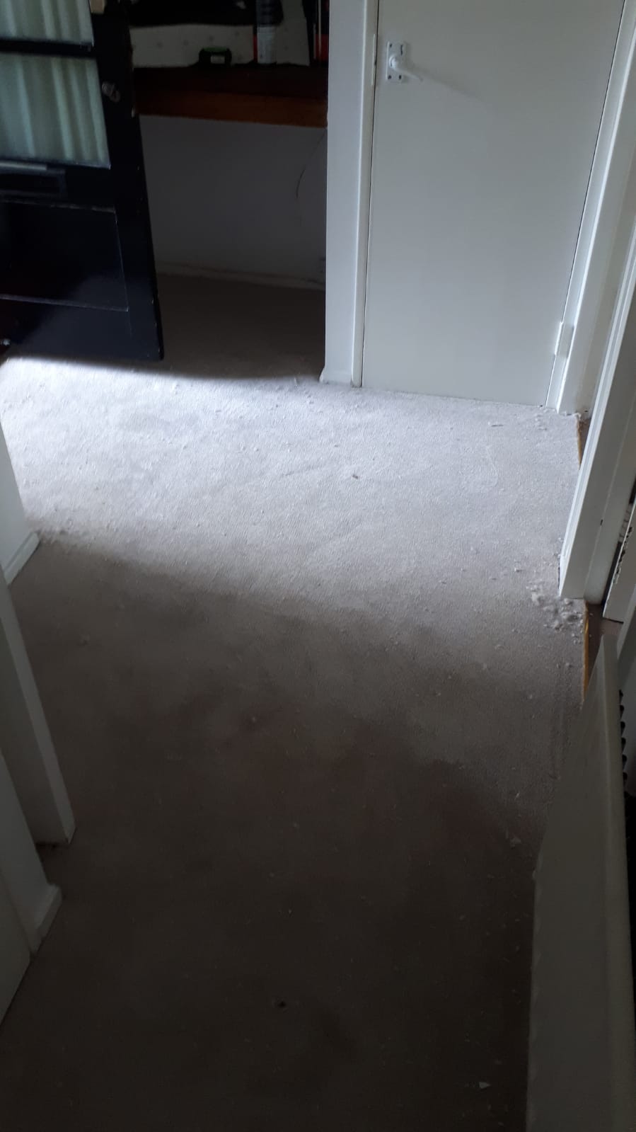 Clarendon Carpets New Elite Twist Beech Carpet 1