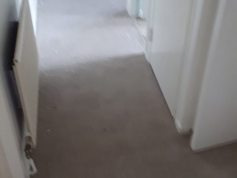 Clarendon Carpets New Elite Twist Beech Carpet - Carpet - Canary Wharf - Home - Residential