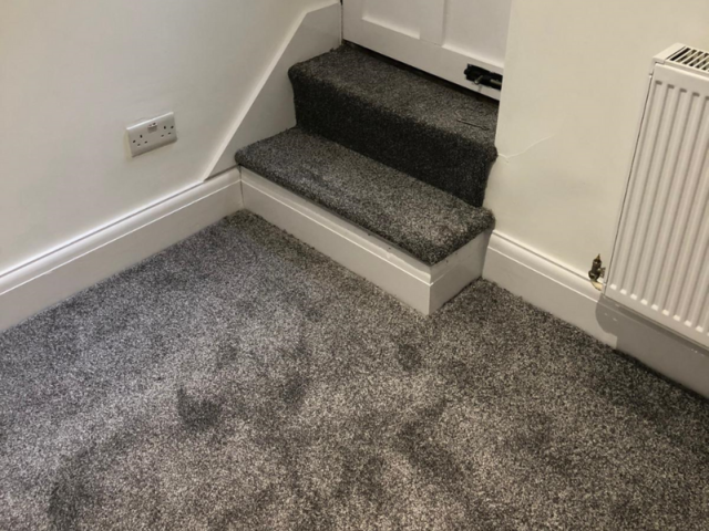 New Elite Twist Moon Dust Carpet In Farringdon