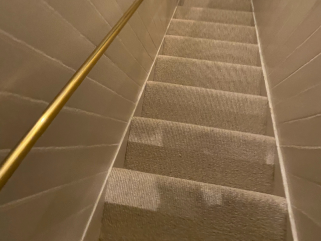 Telenzo Carpets Mainline Oxford Circus Carpet