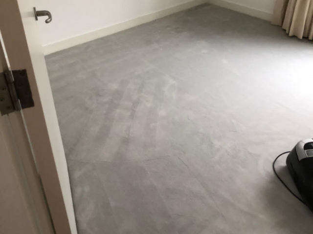 Westex Carpets Supreme Velvet Prestige Hurricane in Hampstead