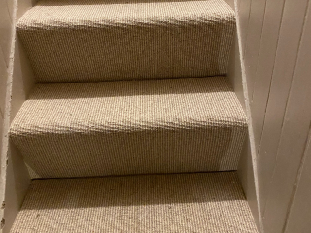 Telenzo Carpets Mainline Oxford Circus Carpet