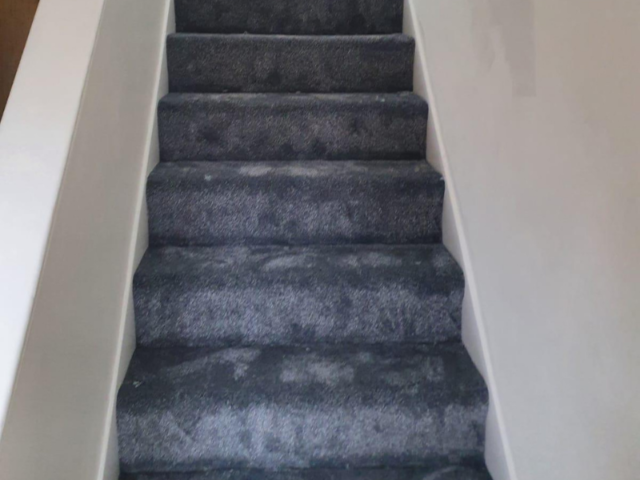 Condor Carpets Oxford 277 Carpet