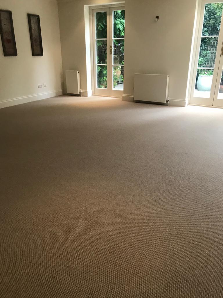 Westex Carpets Silken Velvet Blonde Carpet in Islington, Home