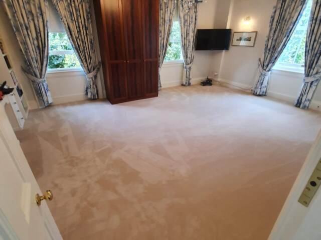 Westex Carpets Silken Velvet Blonde Carpet In Belgravia
