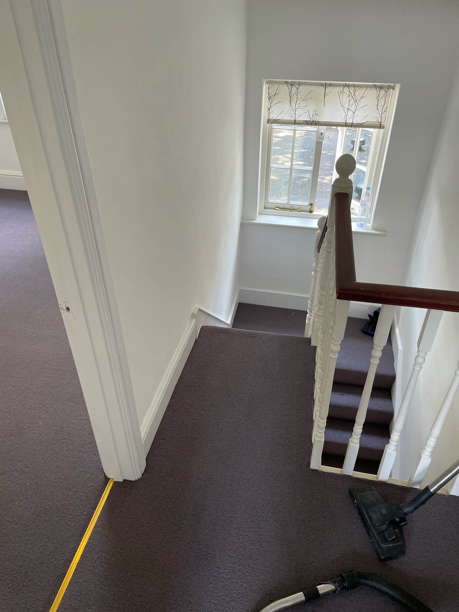 20210719_111237590_iOS_50