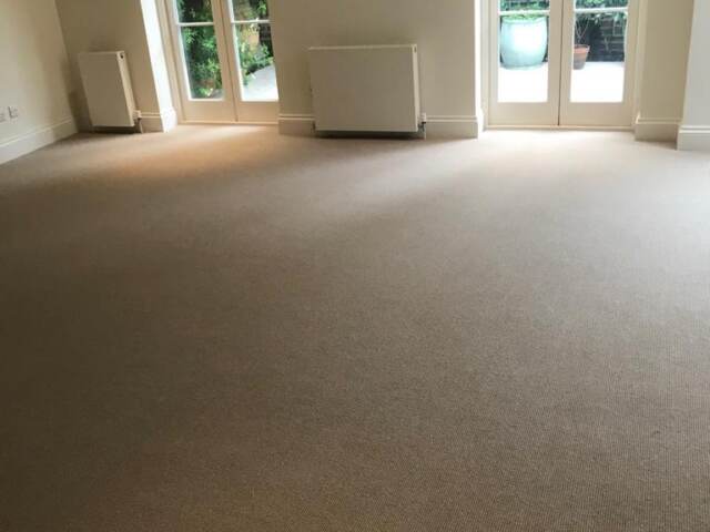 Westex Carpets Silken Velvet Blonde Carpet In Islington