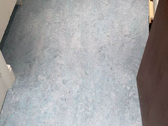 Marmoleum Real Spar 3219 In Westminster