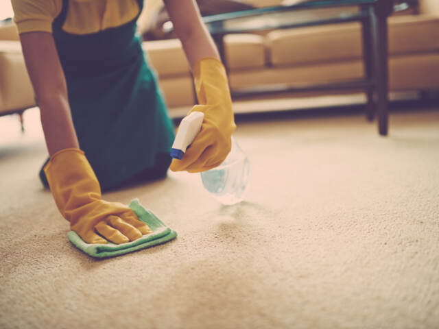 5 Secret Carpet Cleaning Tips You Must Know