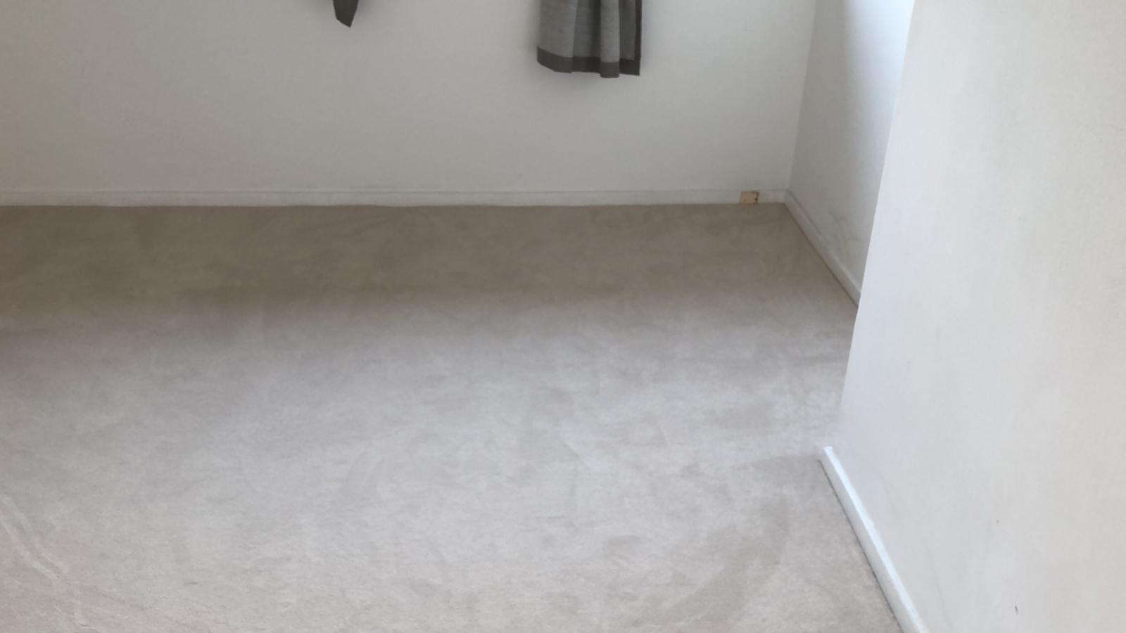 Clarendon Carpets Velvet Eggshell Installation In Richmond-0