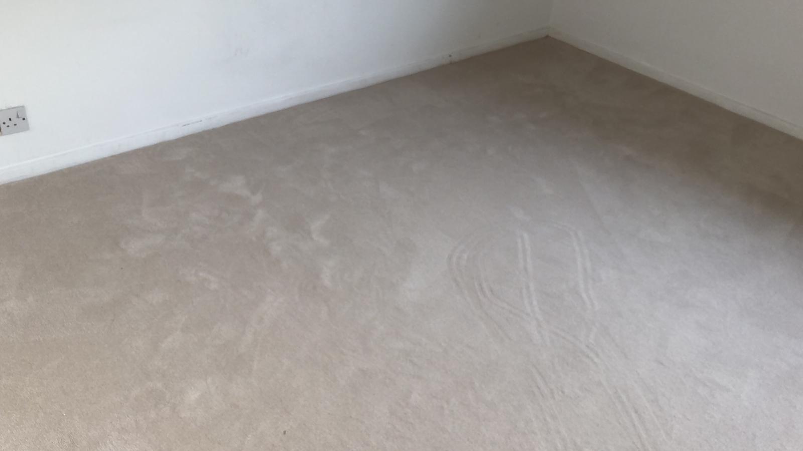 Clarendon Carpets Velvet Eggshell Installation In Richmond-1