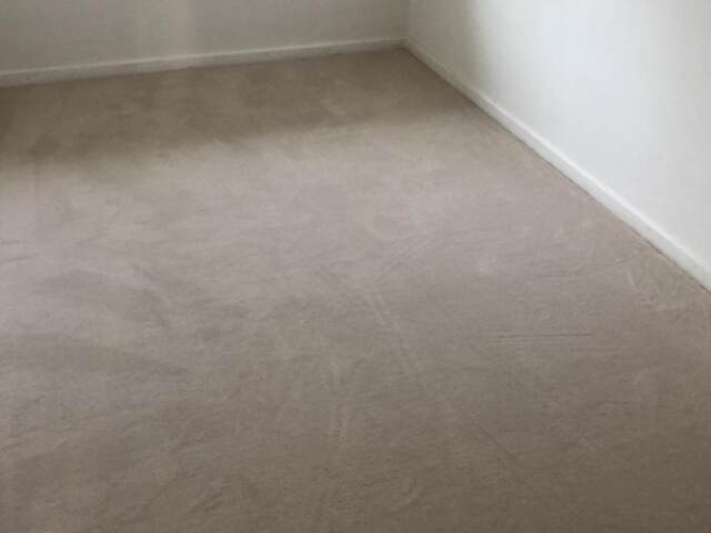 Clarendon Carpets Velvet Eggshell Installation In Richmond