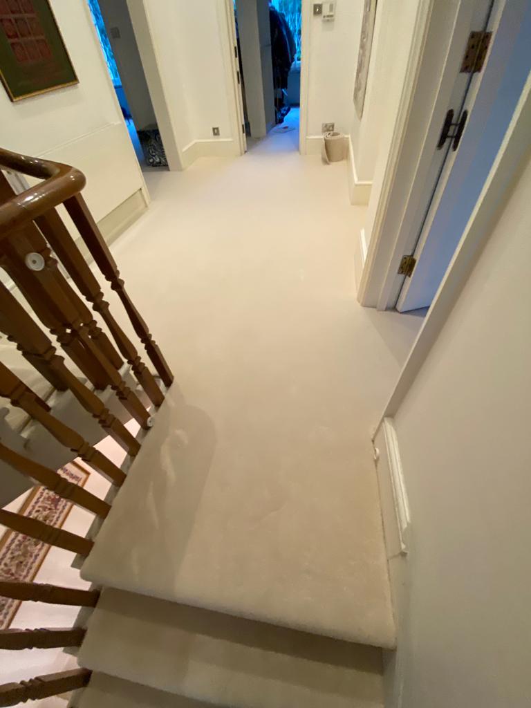Westex Carpets Westend Velvet Ermine Installation In Camden-2