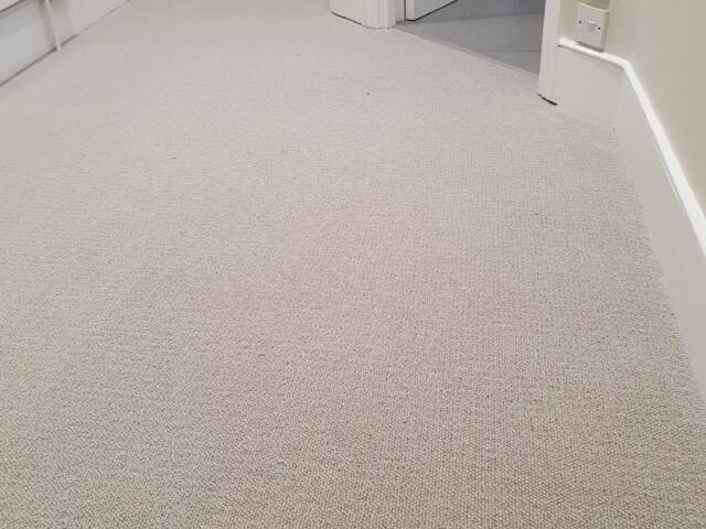 Westex Flooring Westend Velvet Mushroom carpet installation in Putney