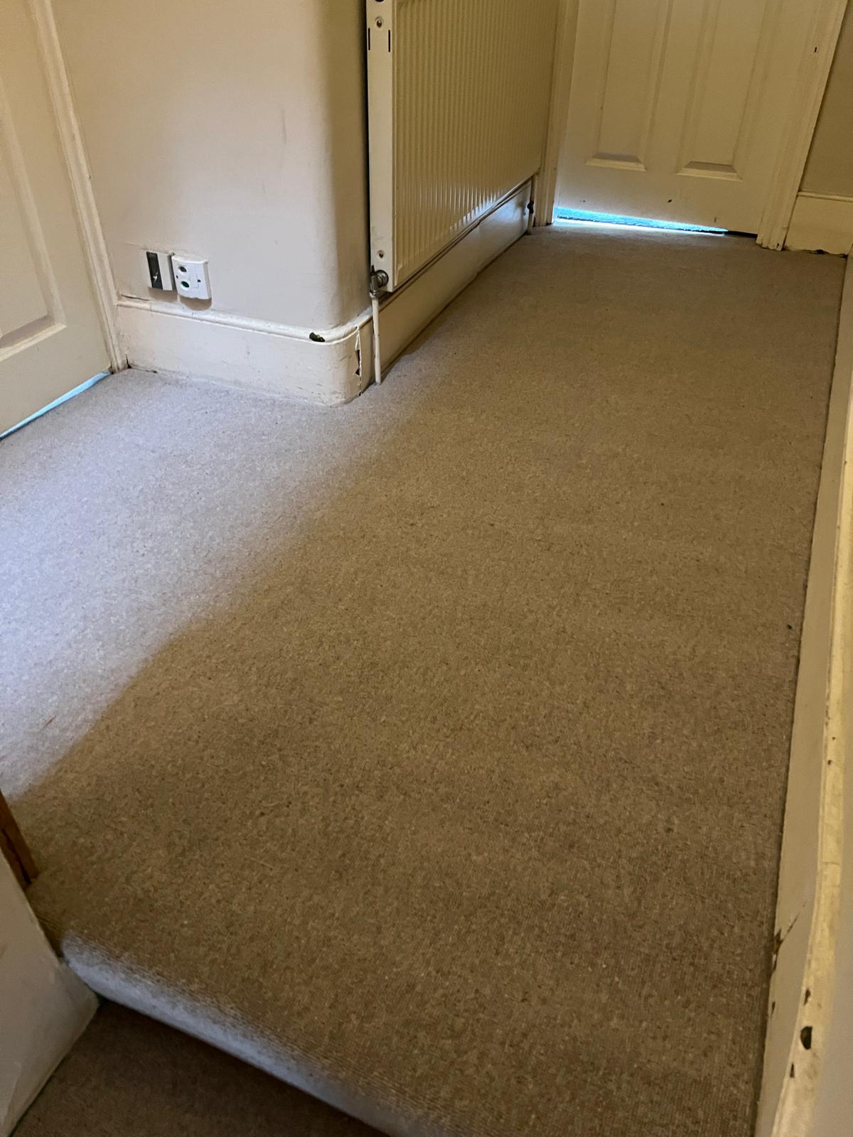 Clarendon Carpets Windsor Stone installation in Camden-1