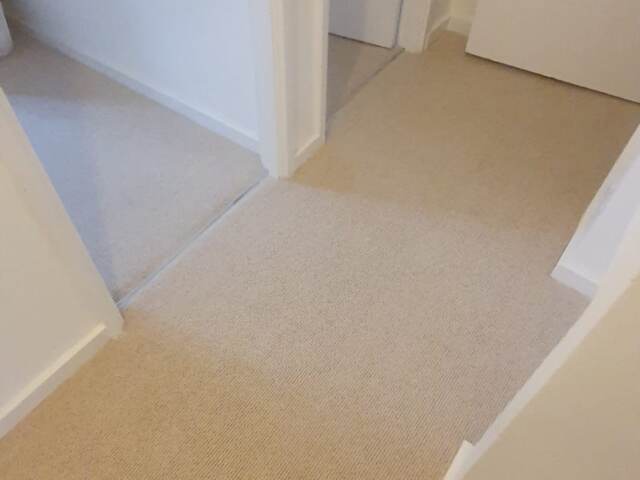 Fibre Carpets Wool Arcadian Heligan installation in Camden