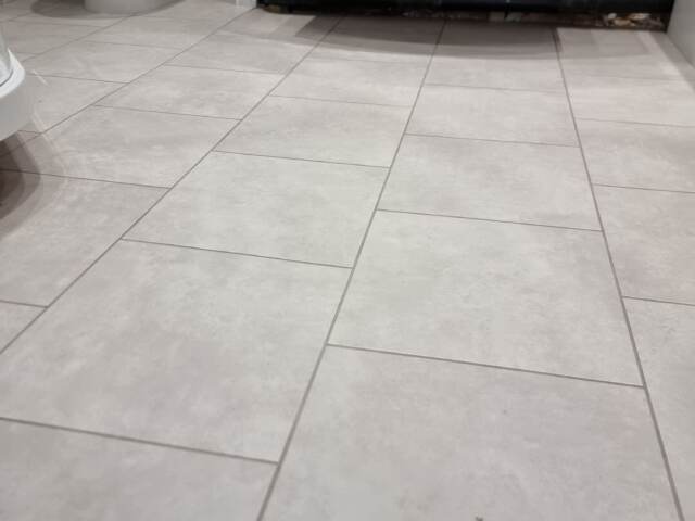 Amtico Spacia Pampas installation in Borough