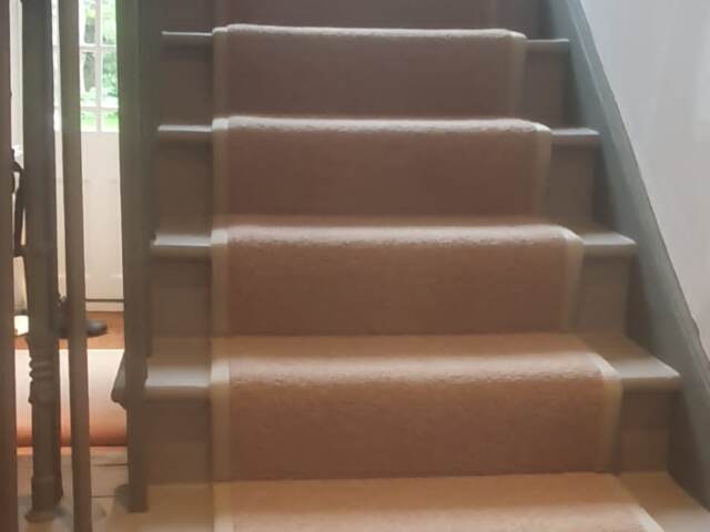 Brockway Carpets Rare Breeds Calico RBL06 installation in Kensington