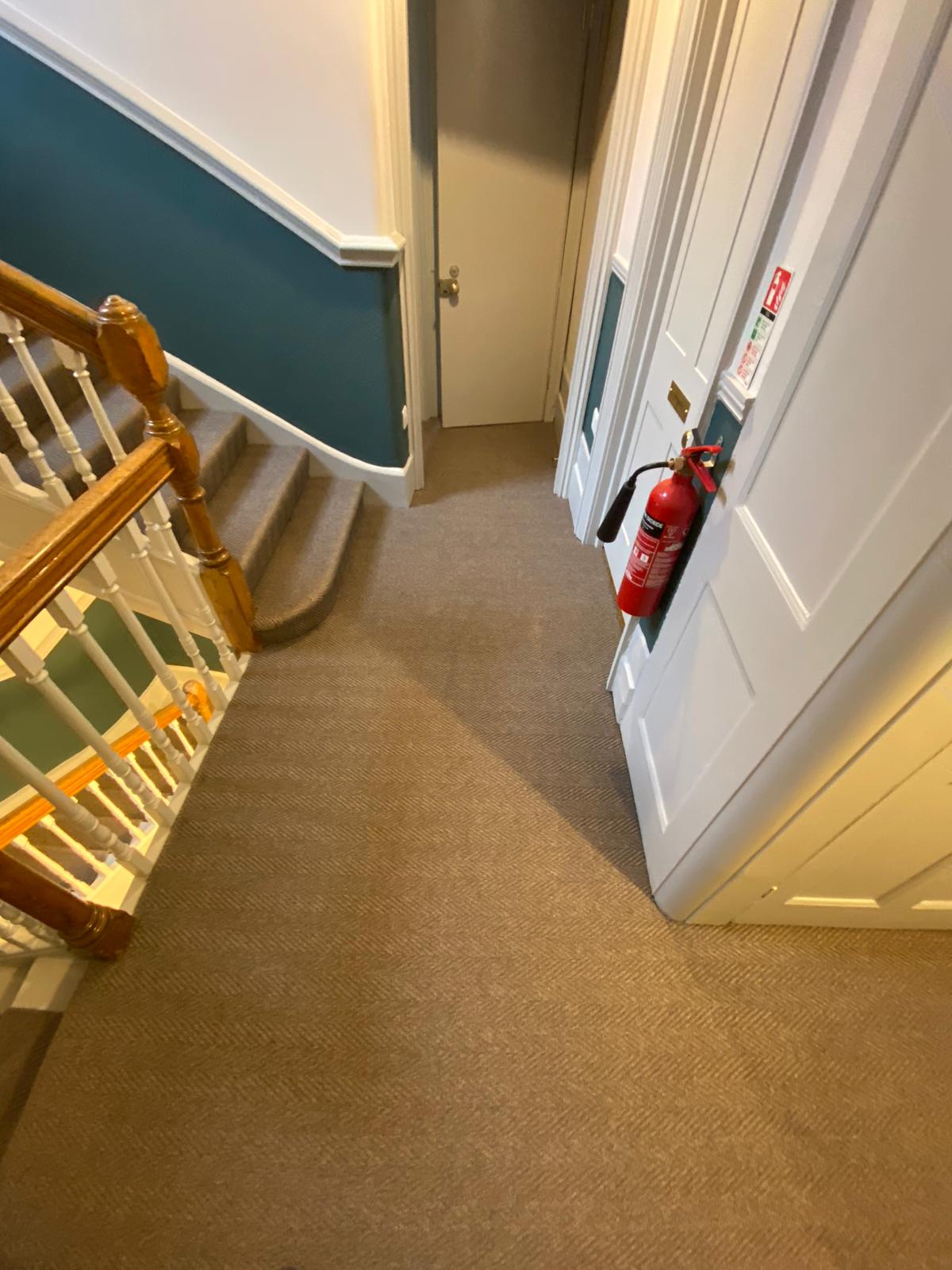 Rols Carpets Maya Wave Licorice installation in Southwark-1