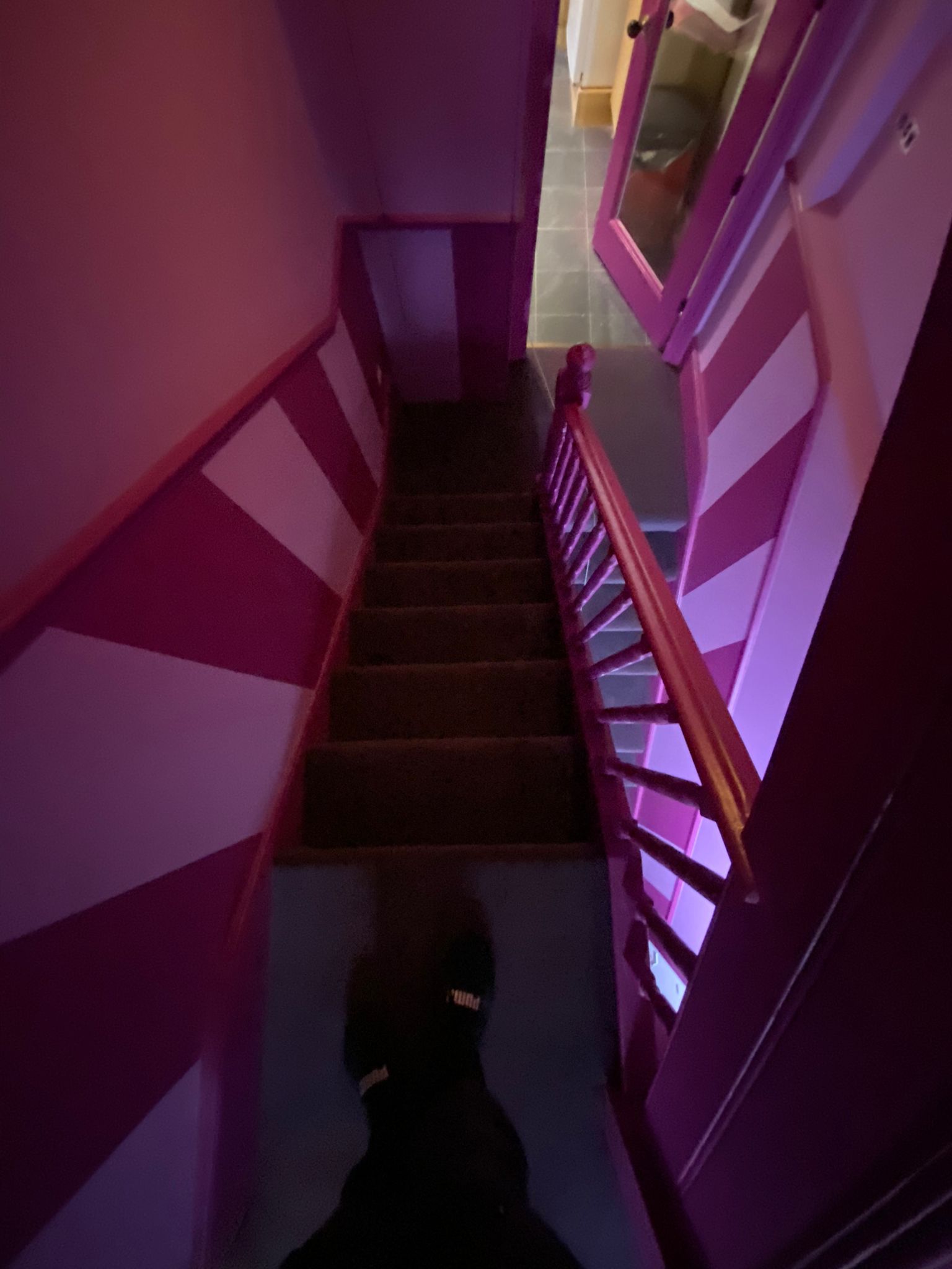 Rols Carpets Teide 718 installation in Wimbledon-2