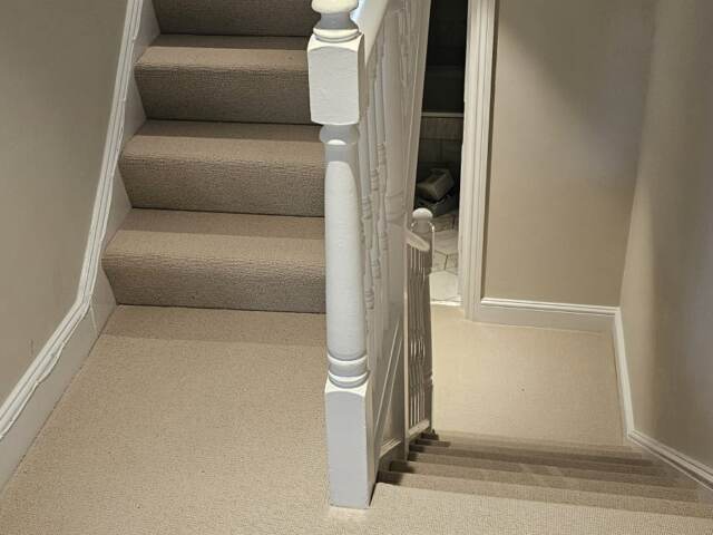 Clarendon Carpets Belsize Park Buttermilk installation in Acton