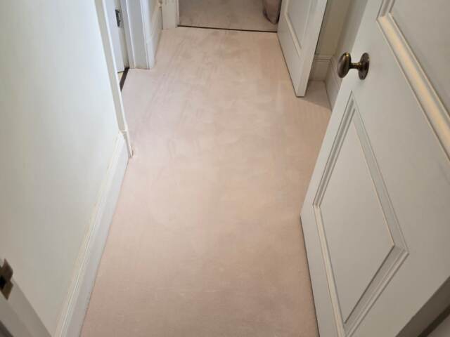 Rols Carpets Annabelle III 828 installation in Camden