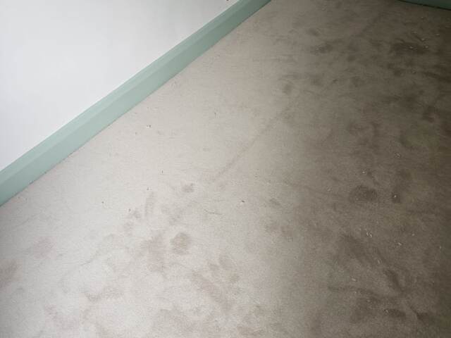 Westex Flooring Westend Velvet Marshmallow carpet installation in Westminster