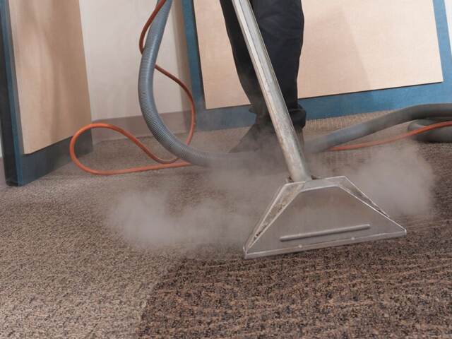 Effective Carpet Stain & Odour Removal Tips From Pet’s Urine