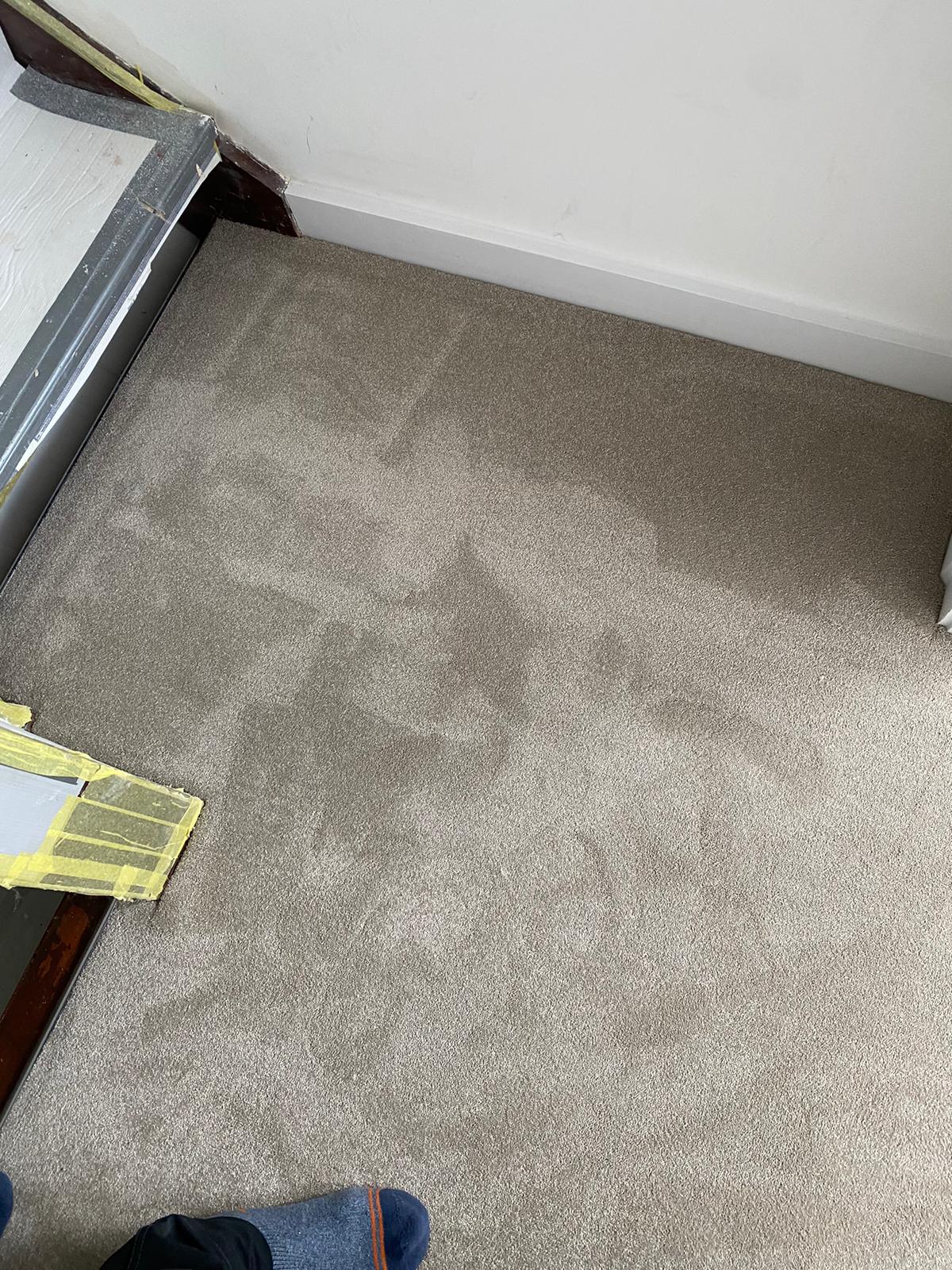 Abingdon Carpets Captivation Moon Cloud installation