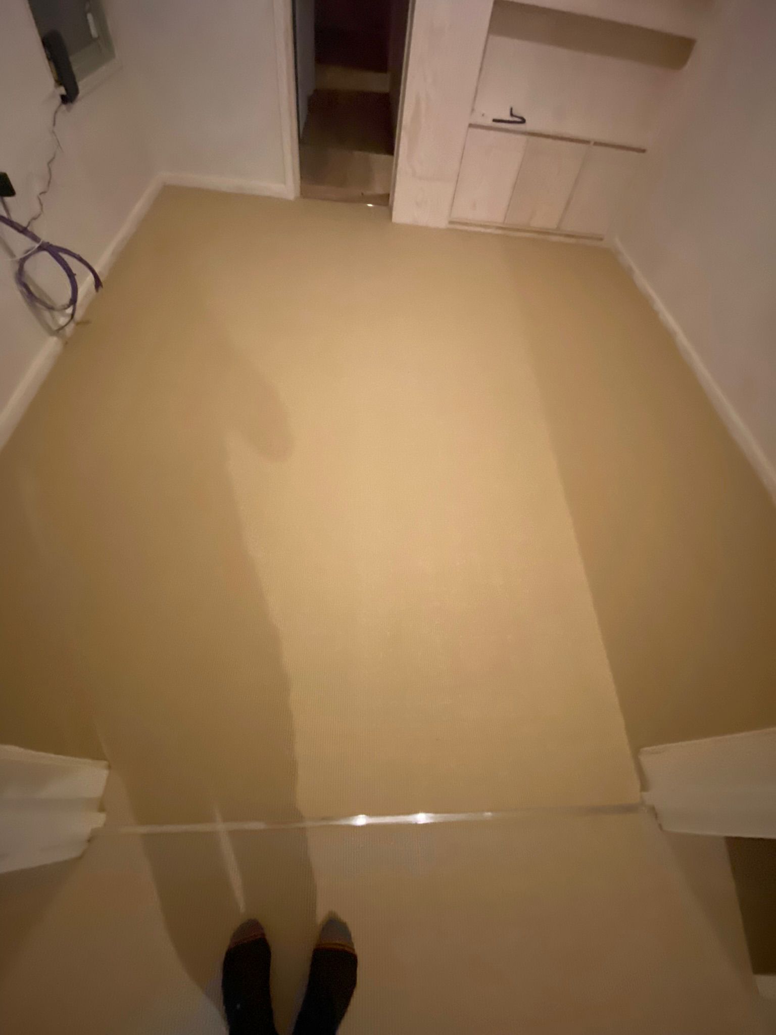 Crucial Trading Harmony Boucle Sweet Barley carpet installation