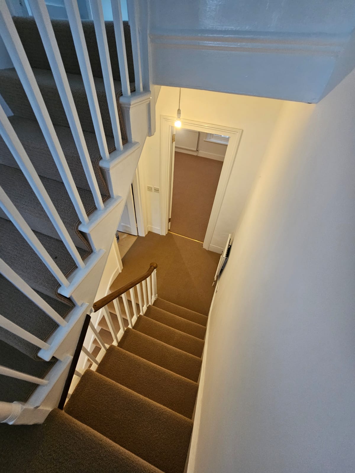 Westex Flooring Natural Loop Collection Briar Corn carpet installation