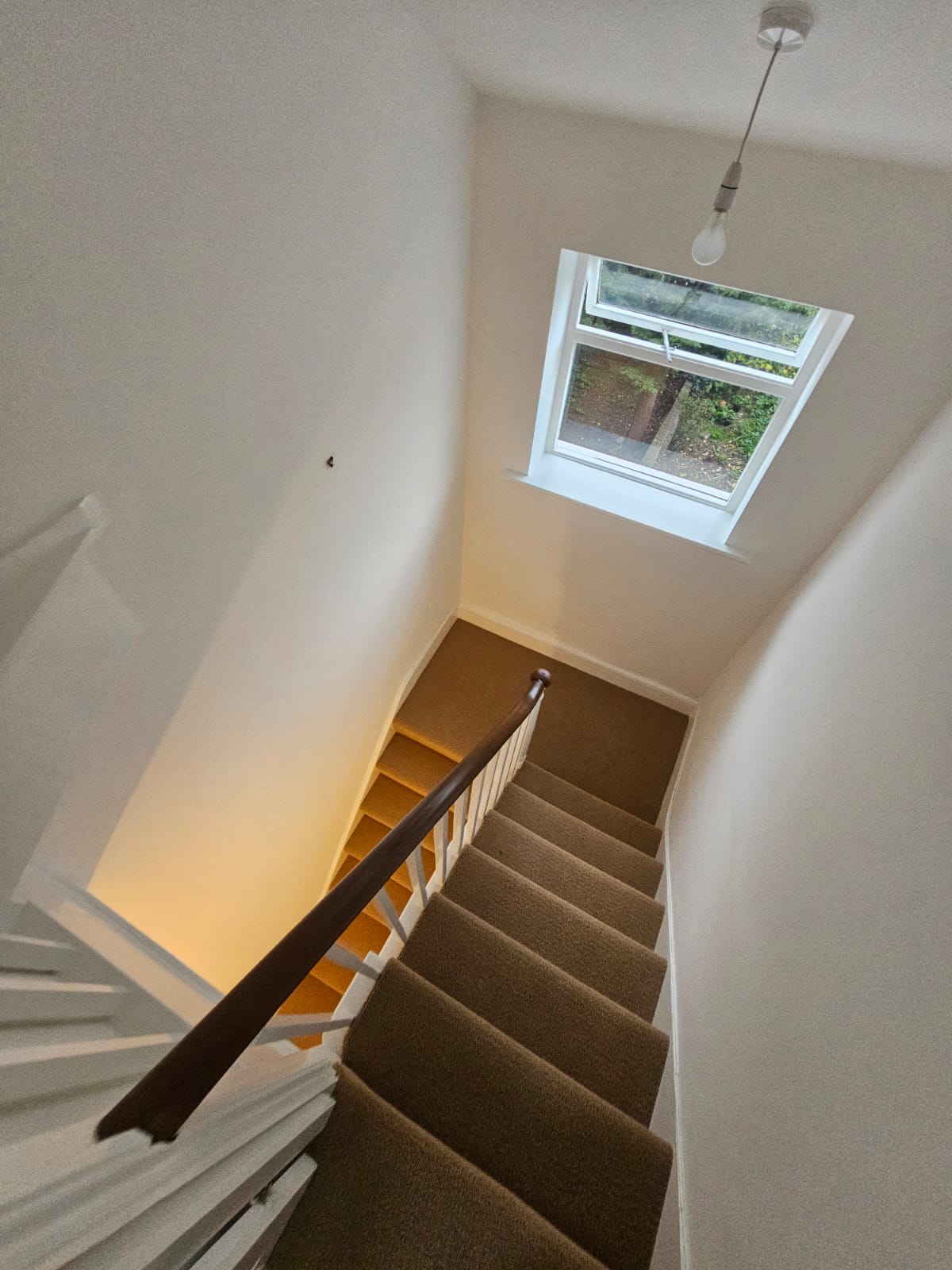 Westex Flooring Natural Loop Collection Briar Corn carpet installation