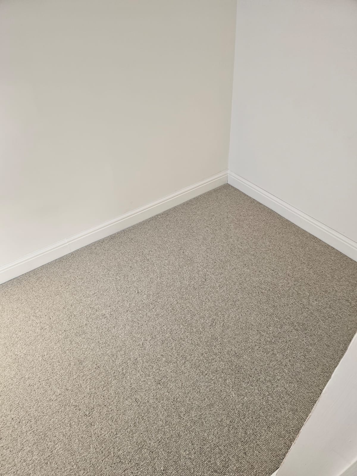 Brockway Carpets Rare Breeds Loop Canvas installation