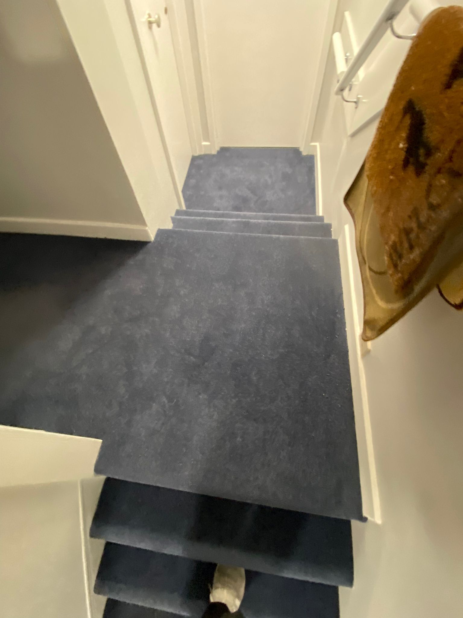 Westex Flooring Penultima Special Dye carpet installation