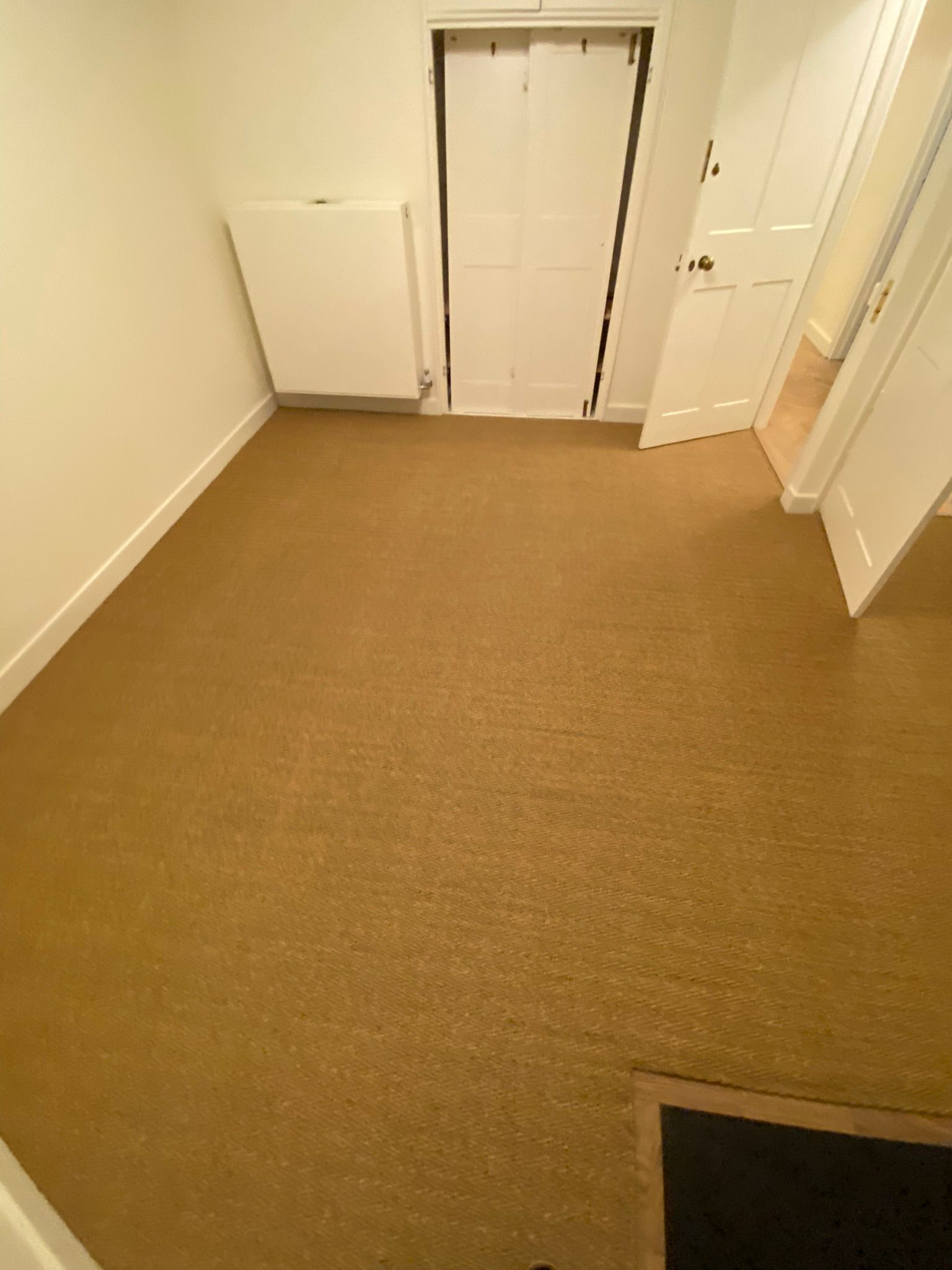 20250208_110810000_iOS