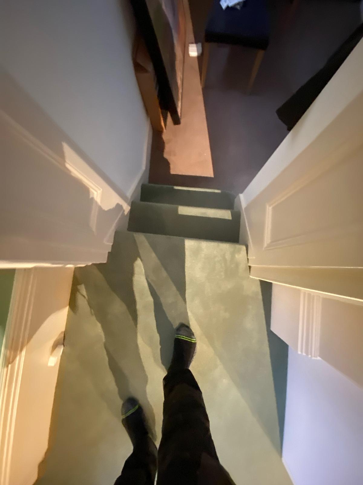 Westex Flooring Westend Velvet Exquisite Spruce carpet installation in-4