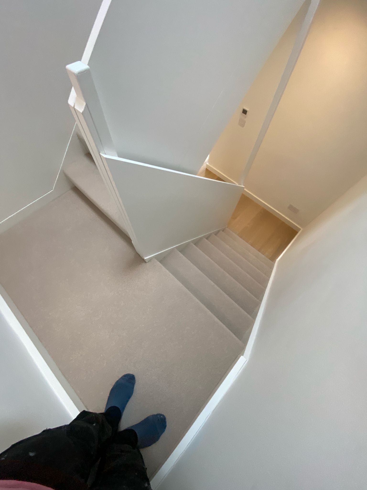 Clarendon Carpets Mayfair Loop Kasmir installation in &#8211; 4