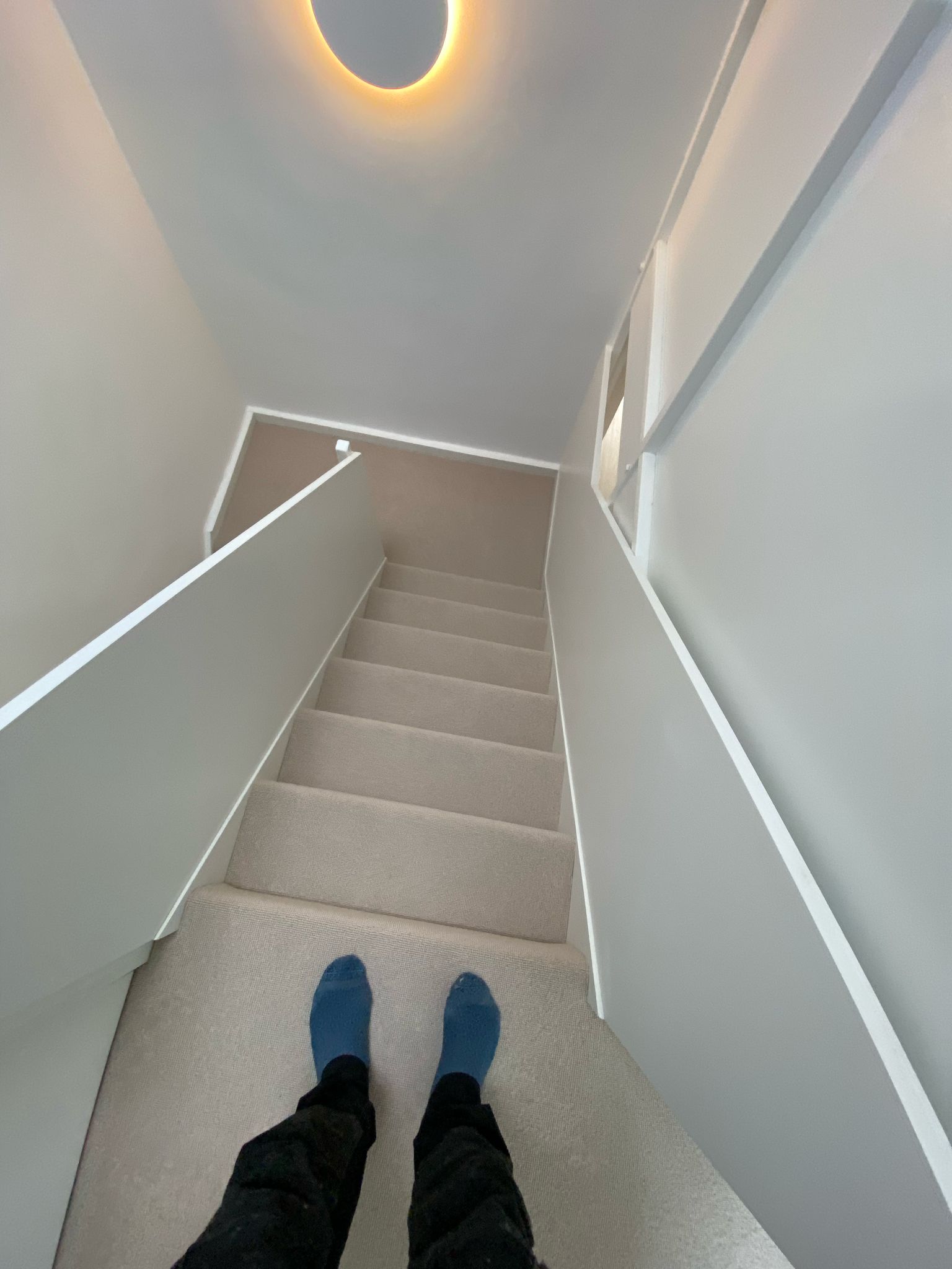 Clarendon Carpets Mayfair Loop Kasmir installation in &#8211; 7