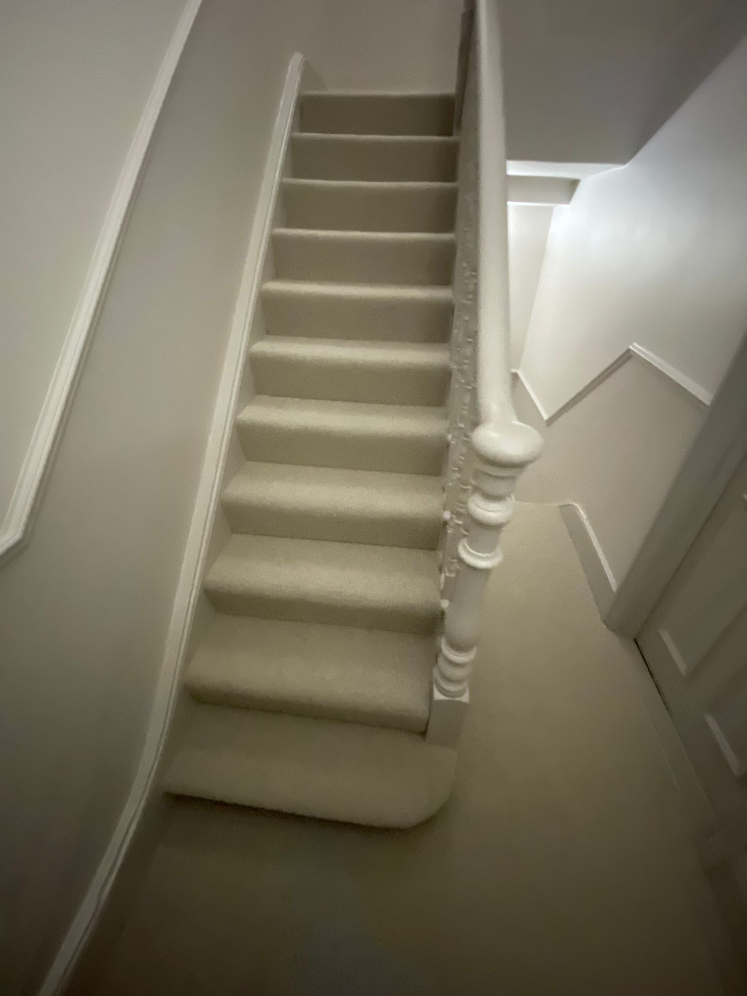 Cavalier Carpets Lupo Buoy installation_5