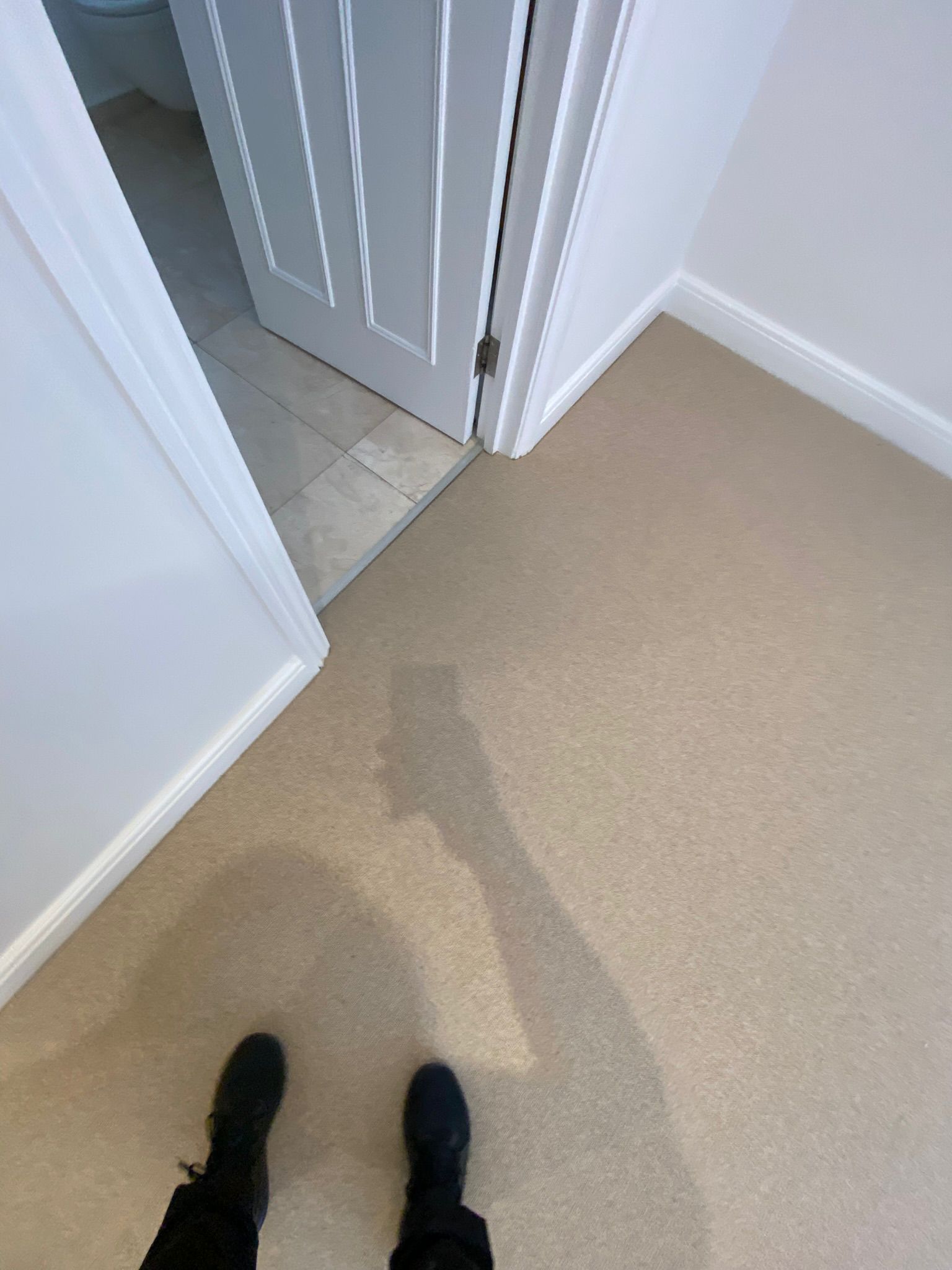 Clarendon Carpets Harrow Beige installation_3