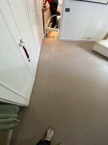 Hugh Mackay Carpets Durham Twist Antique Lace installation_16