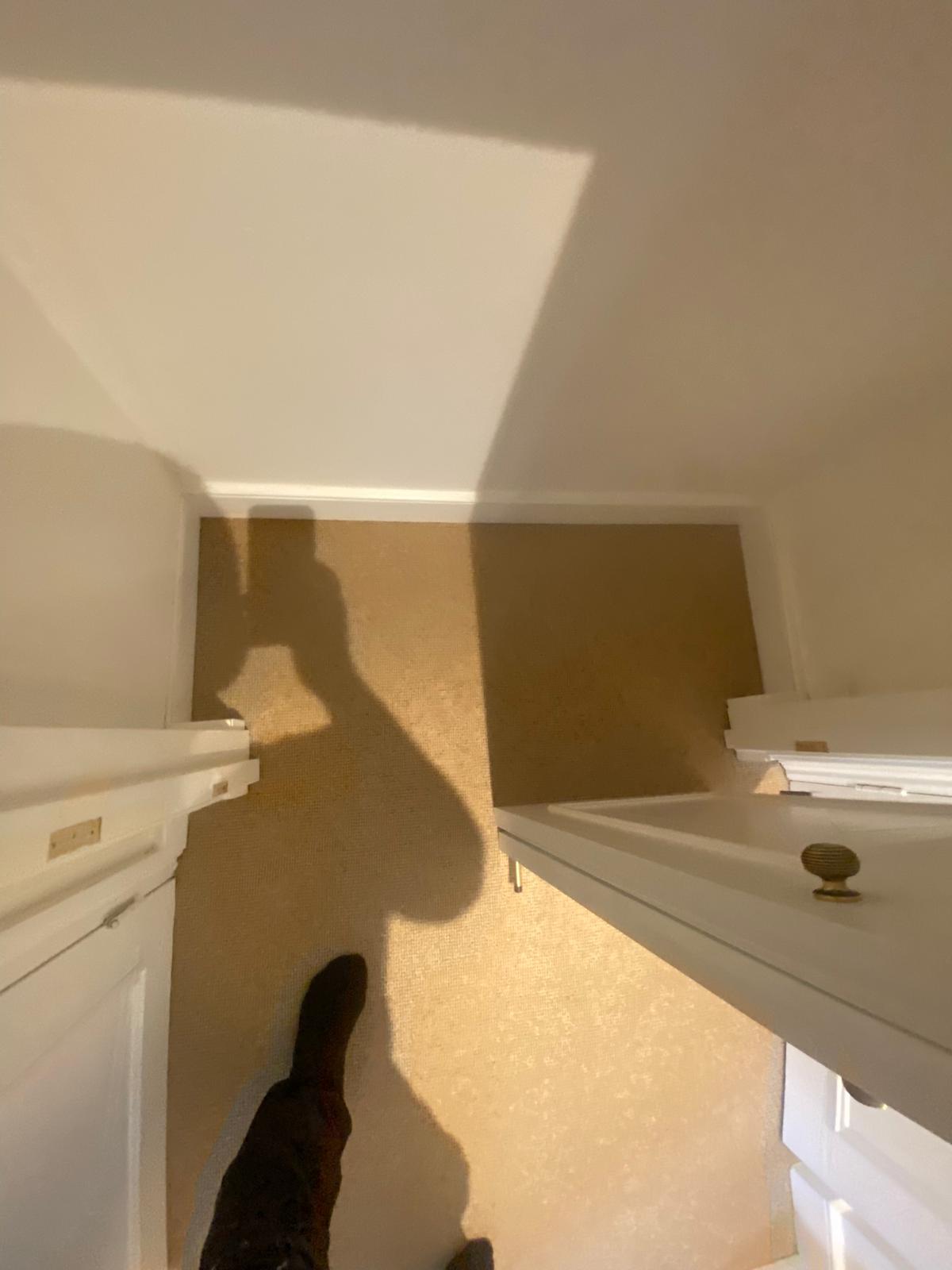 Kersaint Cobb Impressions Loop Honey Tone carpet installation_11