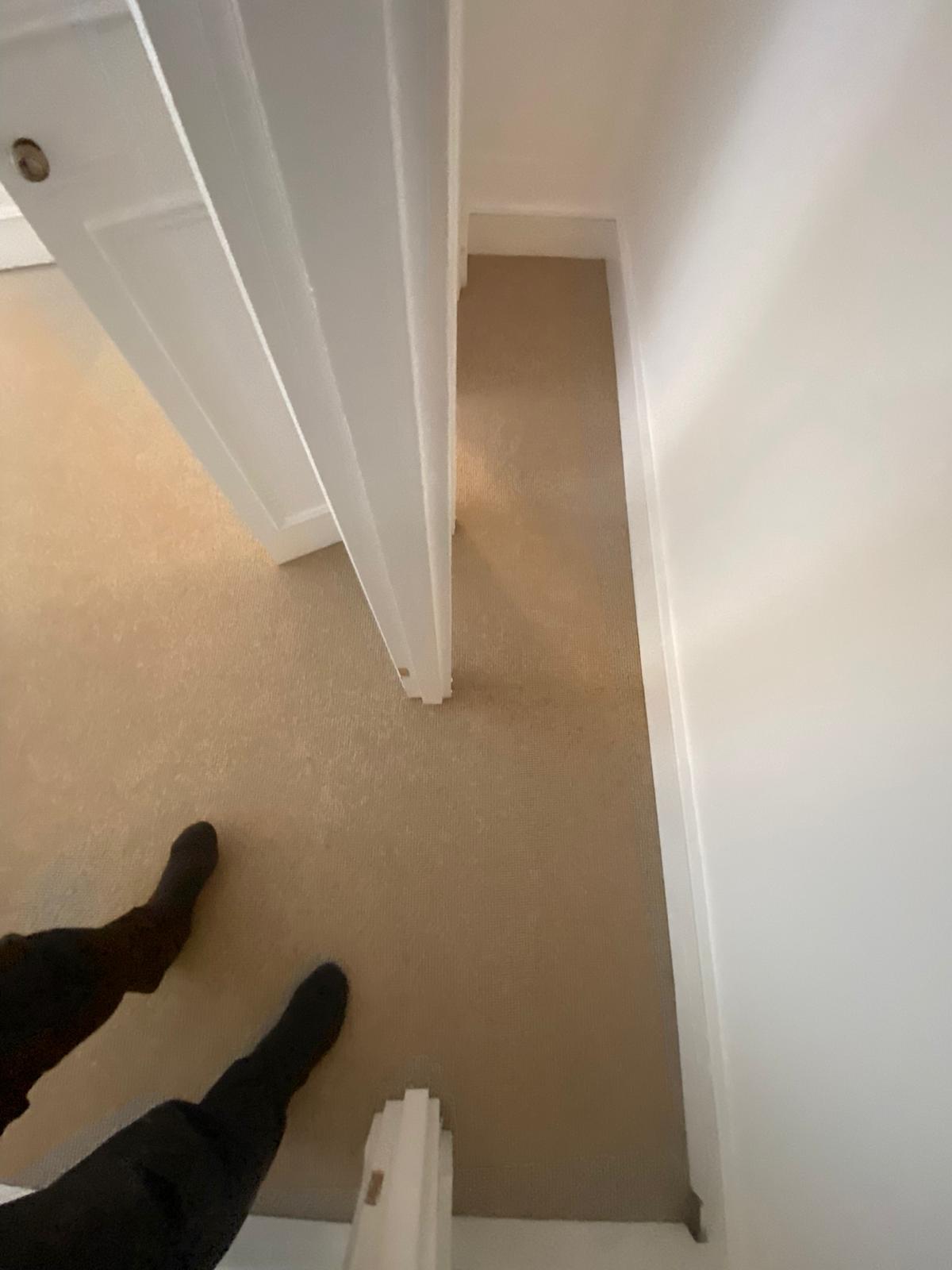 Kersaint Cobb Impressions Loop Honey Tone carpet installation_4