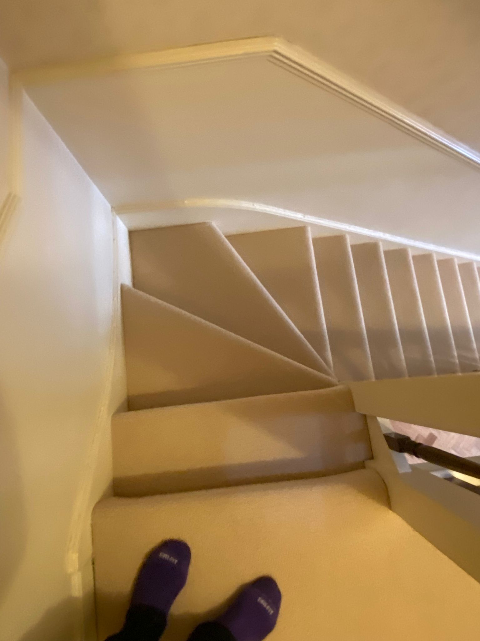 Westex Flooring Barrington Loop Soya carpet installation_3