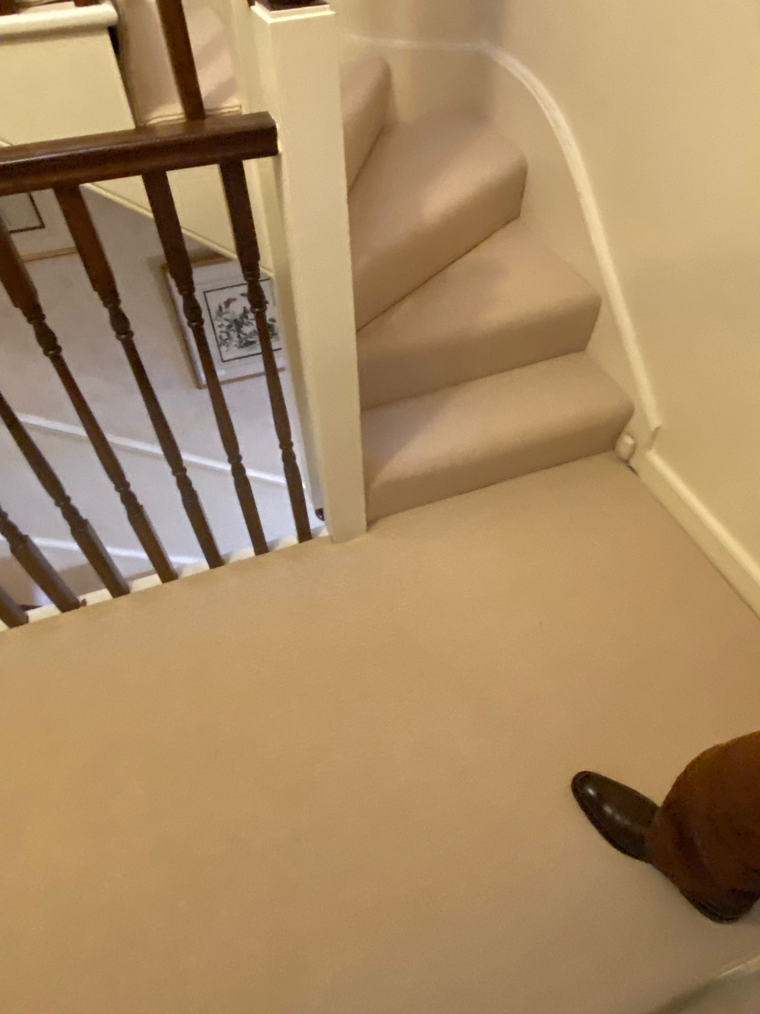 Westex Flooring Barrington Loop Soya carpet installation_4