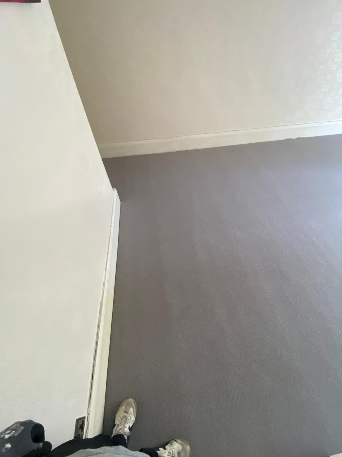 Westex Flooring Natural Loop Cable Cobble carpet installation in_2