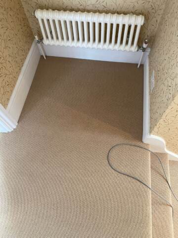 Westex Flooring Natural Loop Collection Cable Corn carpet installation in_3