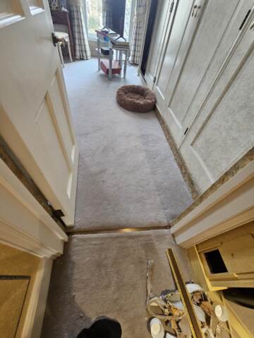 Westex Flooring Prestige Velvet Tornado carpet installation-1