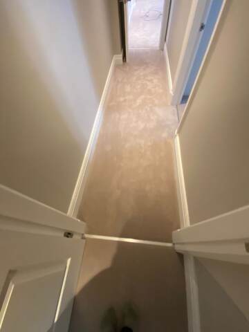 Westex Flooring Pure Luxury Troika Latte carpet installation_5