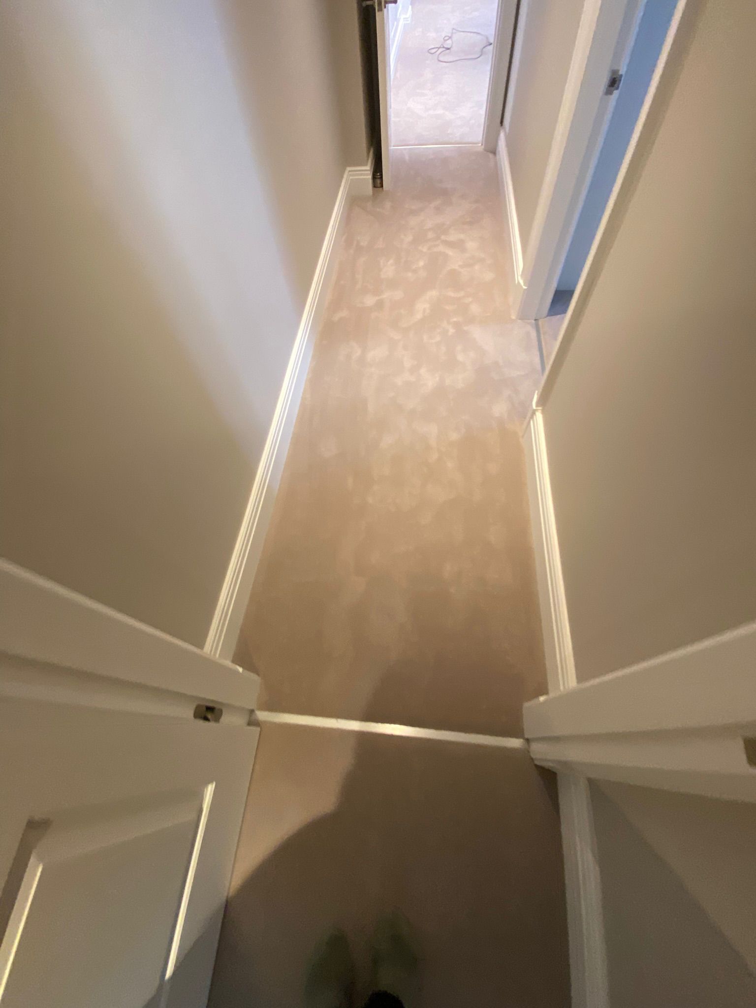 Westex Flooring Pure Luxury Troika Latte carpet installation_5